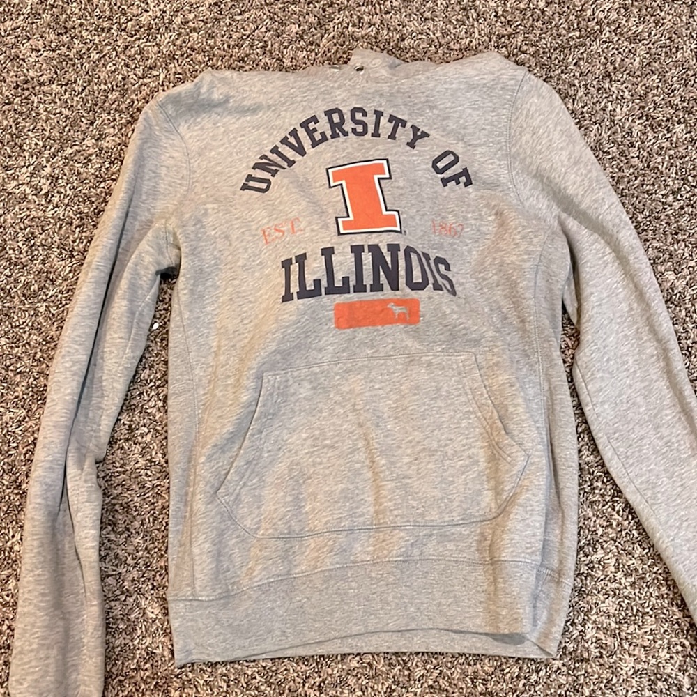 Grey University of Illinois sweatshirt from pink